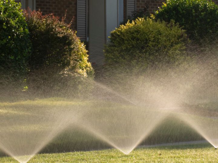 Sprinkler Repair – How to Keep Your Sprinkler System in Top Condition