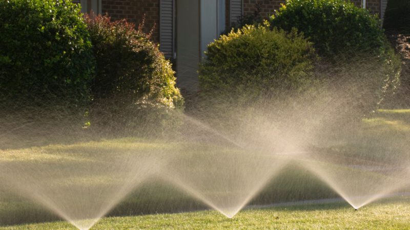 Sprinkler Repair – How to Keep Your Sprinkler System in Top Condition